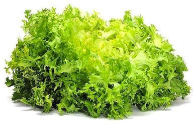 Beneficios de la escarola Beneficios de la escarola