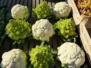 cauliflower 68791 1280 300x225 Plantas demasiado grandes para tu huerto urbano