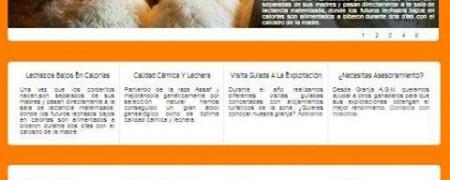 Granja de Desarrollo Ovino AGM