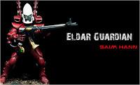 Guardian de los Eldars para Warhammer 40000 con los colores del mundo de Saim-Hann
