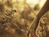 [Novedades Junio] Sacrificio Verdugo Noelia Amarillo