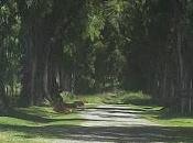 Amantes Prefieren Soledad