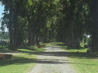 Los Amantes Prefieren la Soledad
