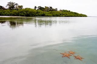 Bocas del Toro