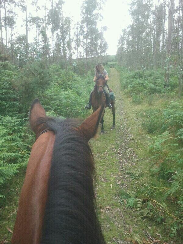 la aventura de vivir!!! un recuerdo equino, la verbena de Bordel Carral