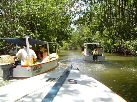 No te puedes perder de un paseo por La Restinga en Margarita