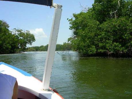 Paseo guiado por la Restinga en Margarita