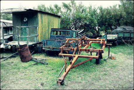 BT Monte Hermoso: Un día de campo en la estancia Dufaur