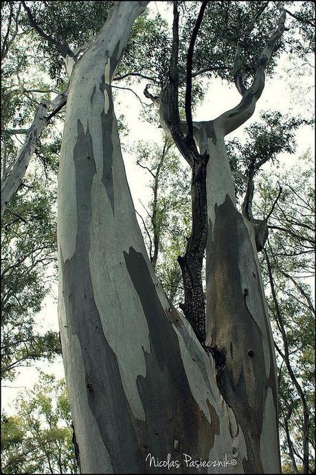 BT Monte Hermoso: Un día de campo en la estancia Dufaur