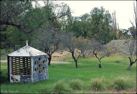 BT Monte Hermoso: Un día de campo en la estancia Dufaur