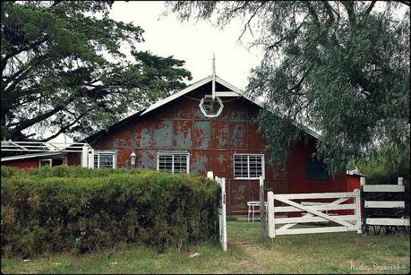 BT Monte Hermoso: Un día de campo en la estancia Dufaur