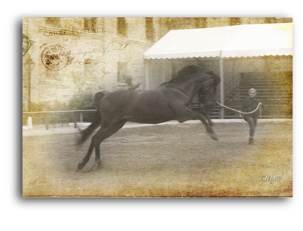 Caballerizas Reales de Córdoba