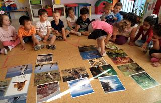 CONOCEMOS LOS ANIMALES DE SELWO MARINA