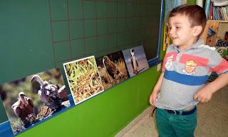 CONOCEMOS LOS ANIMALES DE SELWO MARINA