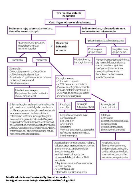 Algoritmo diagnóstico hematuria