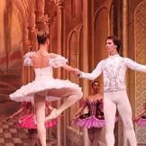 Classical Russian Ballet. La bella durmiente.