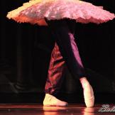 Classical Russian Ballet. La bella durmiente.