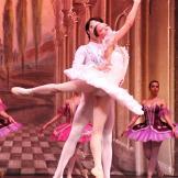 Classical Russian Ballet. La bella durmiente.