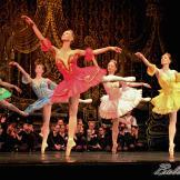 Classical Russian Ballet. La bella durmiente.