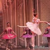 Classical Russian Ballet. La bella durmiente.