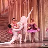 Classical Russian Ballet. La bella durmiente.