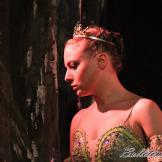 Classical Russian Ballet. La bella durmiente.