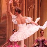 Classical Russian Ballet. La bella durmiente.