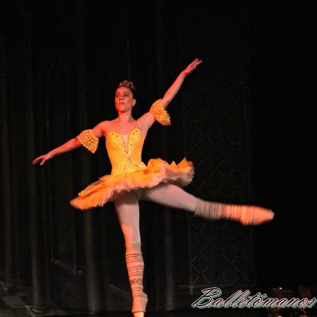 Classical Russian Ballet. La bella durmiente.