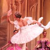 Classical Russian Ballet. La bella durmiente.
