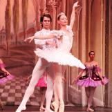 Classical Russian Ballet. La bella durmiente.