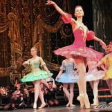 Classical Russian Ballet. La bella durmiente.