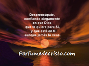 Cara cara…