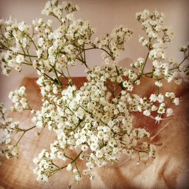 bienvenido Junio - welcome June