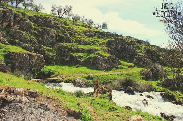 Nacimiento de Riofrío