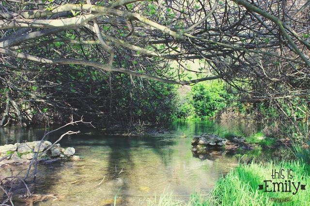 Nacimiento de Riofrío