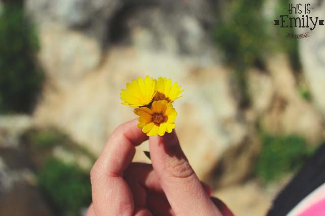 Nacimiento de Riofrío