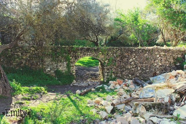 Nacimiento de Riofrío