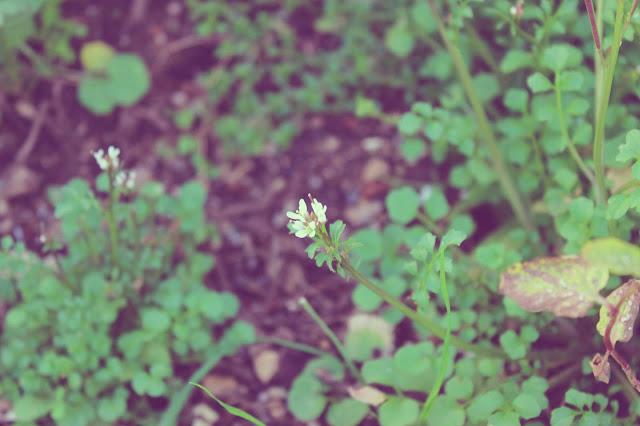 Jersey nuevo debajo de un rayito de sol