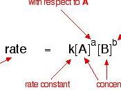 Escritura ecuación velocidad reacción