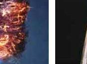 Efecto reactivos velocidades reacción