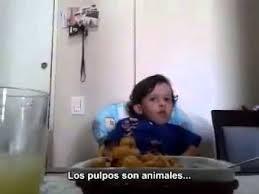 NIÑO EXPLICA A SU MADRE PORQUÉ NO COME ANIMALES.¡¡ INCREÍBLE  Y EMOCIONANTE VÍDEO!!
