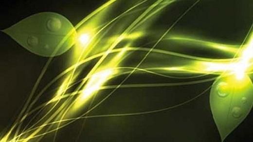 PLANTAS LUMINOSAS REEMPLAZARÁN A LAS FAROLAS