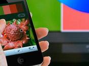 Kuler: aplicación mucho color!