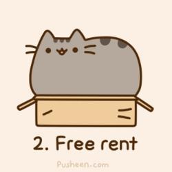 Conoces a Pusheen? Conoces a Pusheen?