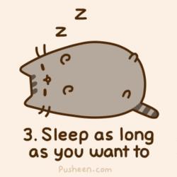 Conoces a Pusheen? Conoces a Pusheen?