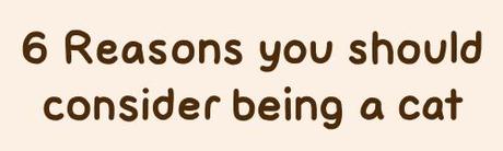 Conoces a Pusheen? Conoces a Pusheen?