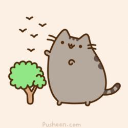 Conoces a Pusheen? Conoces a Pusheen?