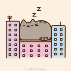 Conoces a Pusheen? Conoces a Pusheen?