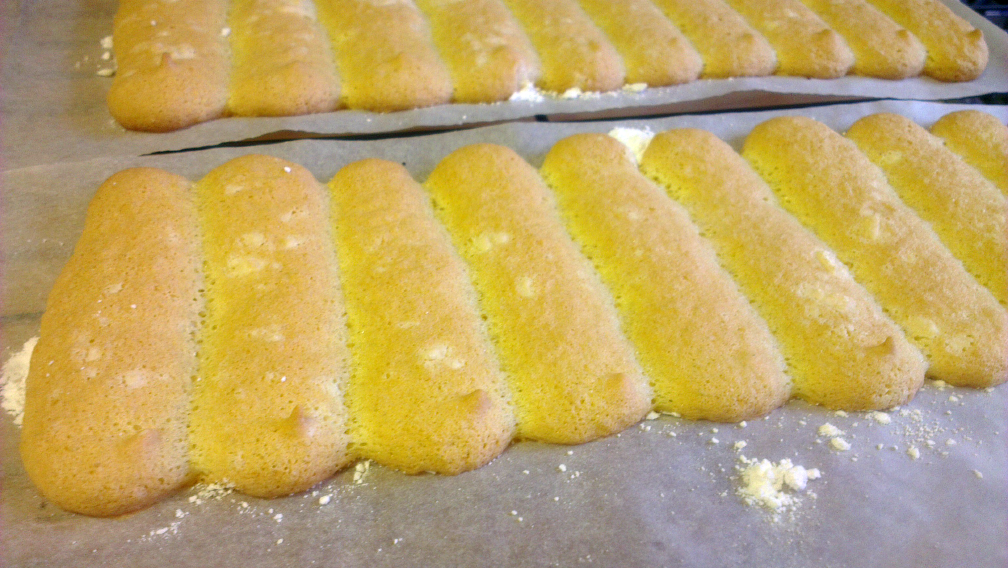 ♥ Ladyfingers