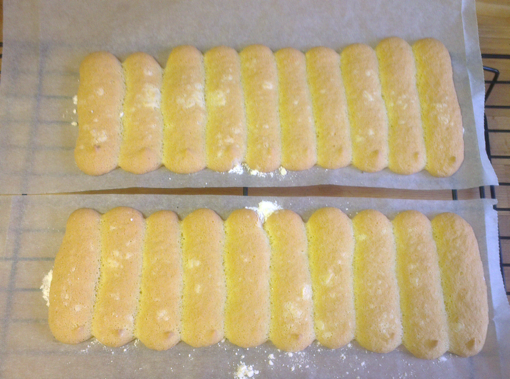 ♥ Ladyfingers